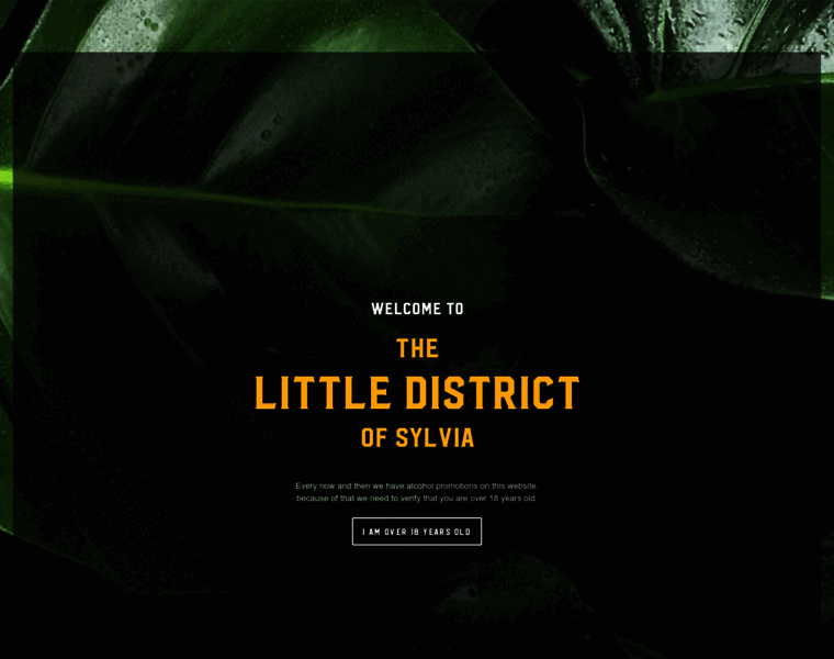 Littledistrict.co.nz thumbnail