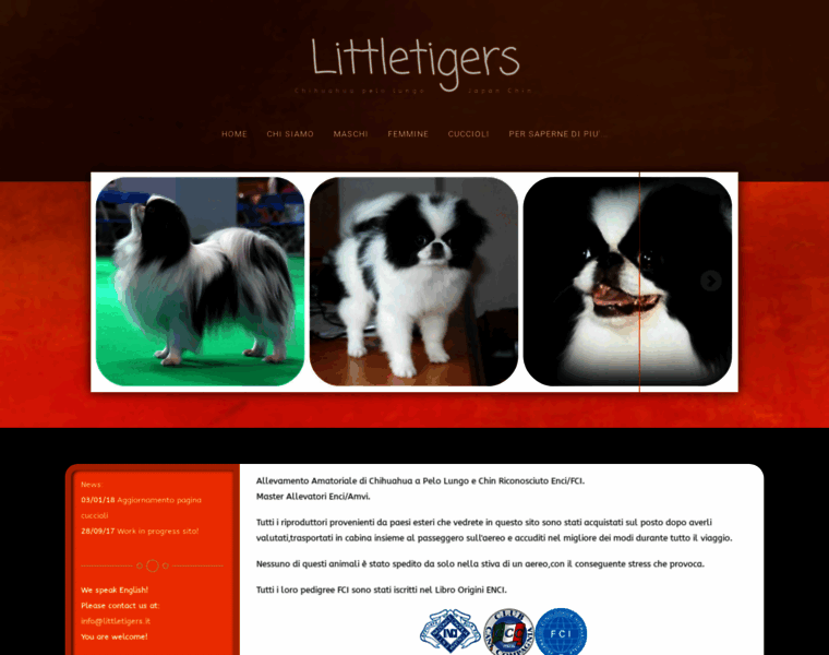 Littletigers.it thumbnail