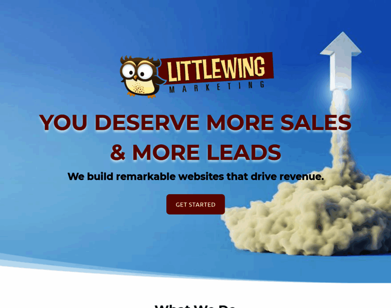 Littlewingmarketing.com thumbnail