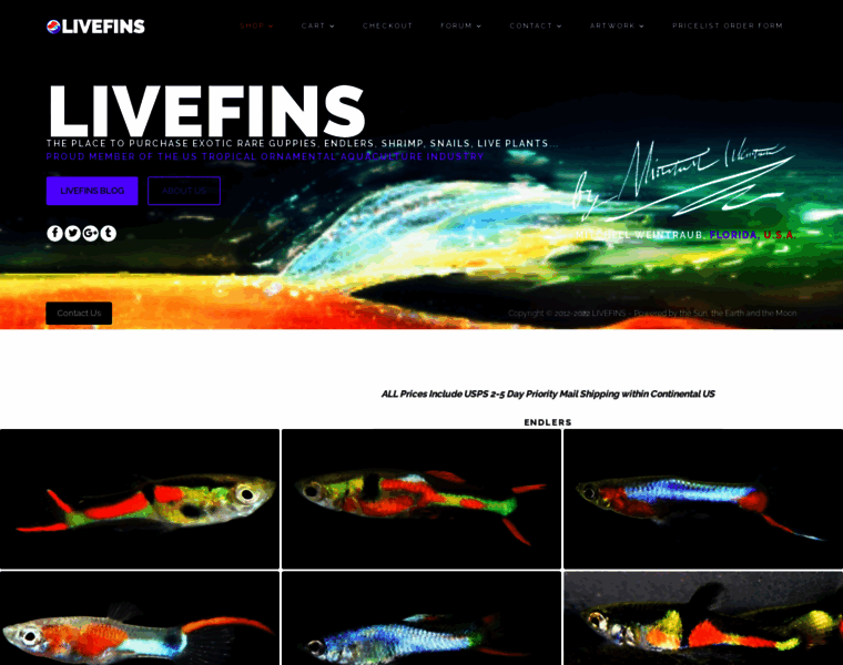 Livefins.com thumbnail