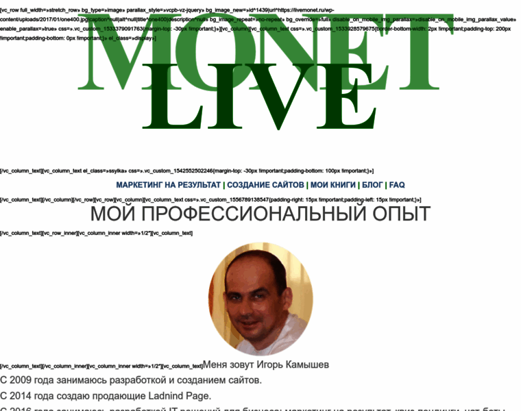 Livemonet.ru thumbnail