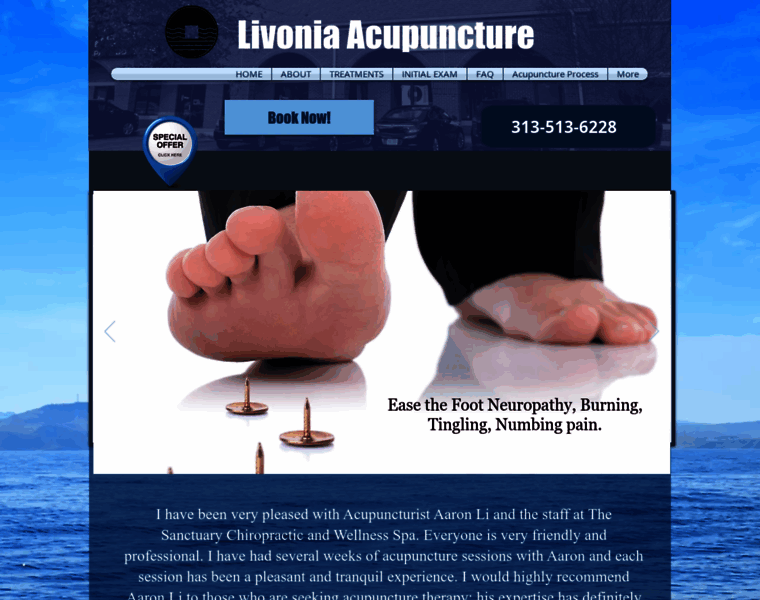 Livoniaacupuncture.com thumbnail
