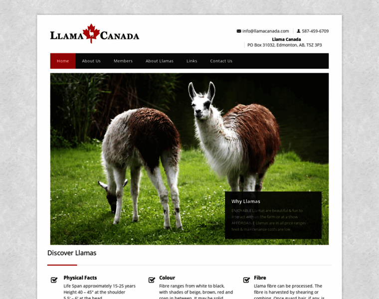 Llamacanada.com thumbnail