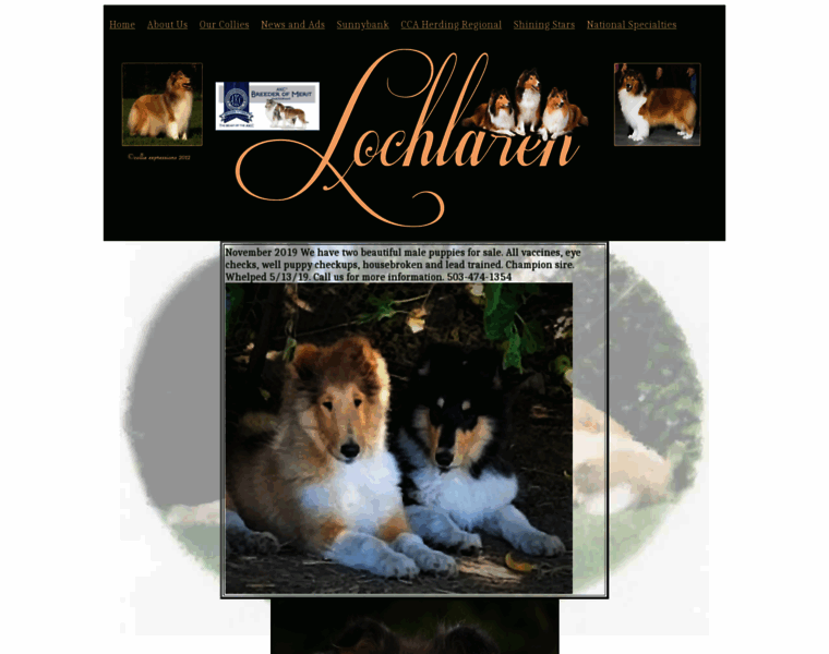 Lochlarencollies.com thumbnail