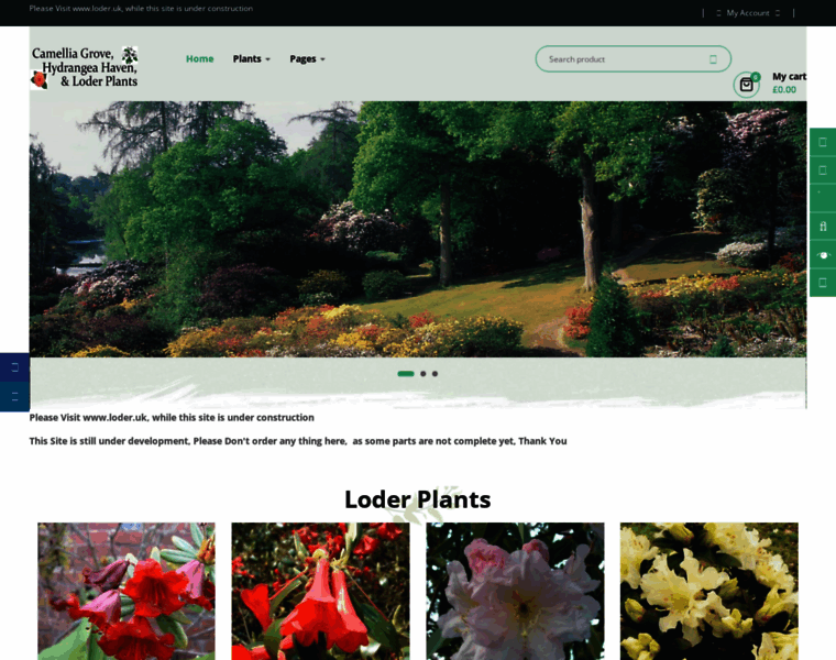 Loder-plants.co.uk thumbnail