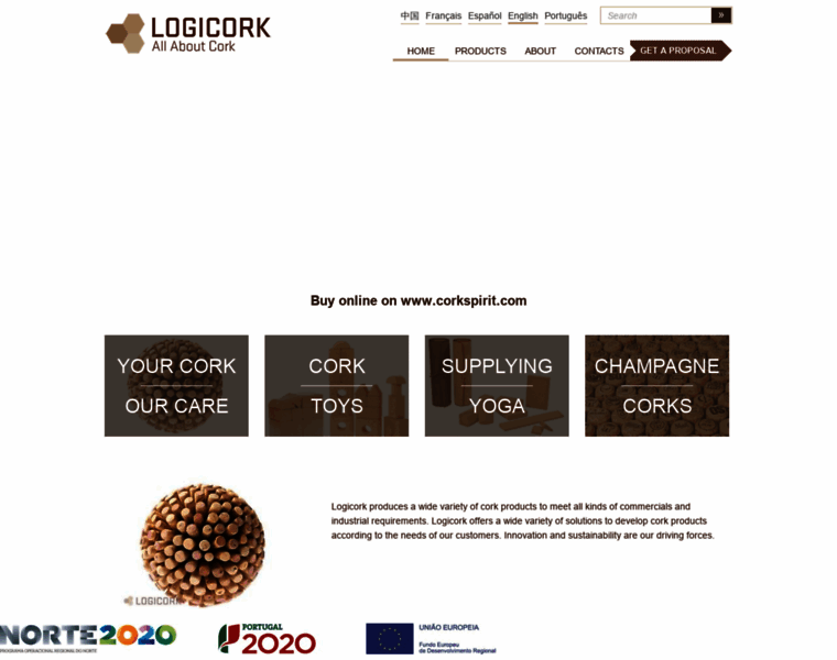 Logicork.com thumbnail