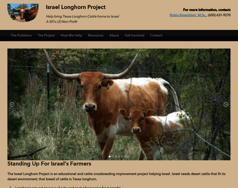 Longhornproject.org thumbnail