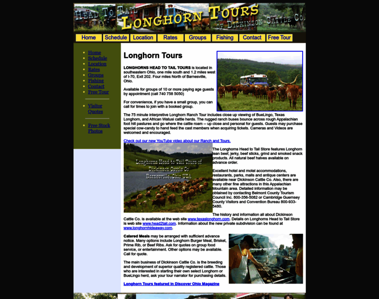 Longhorntours.com thumbnail