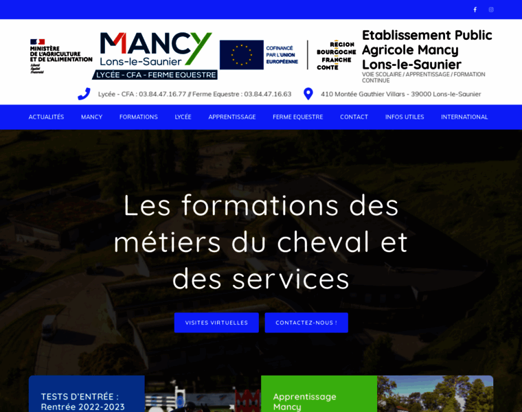 Lons-mancy.fr thumbnail
