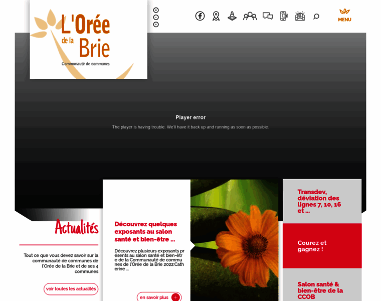 Loreedelabrie.fr thumbnail