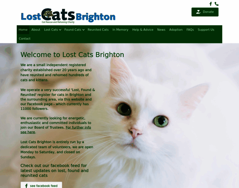 Lostcatsbrighton.org.uk thumbnail