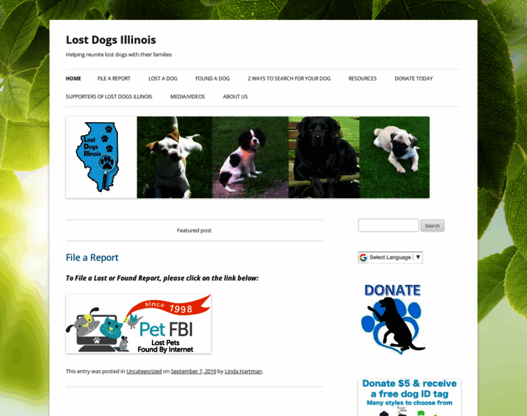Lostdogsillinois.org thumbnail