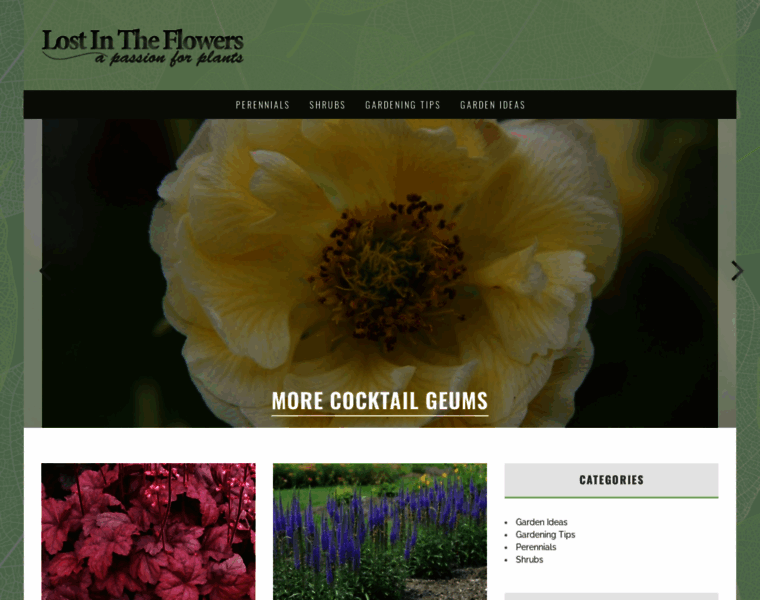 Lostintheflowers.com thumbnail