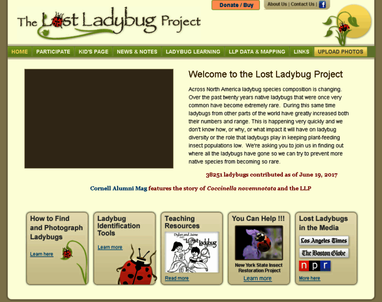 Lostladybug.org thumbnail