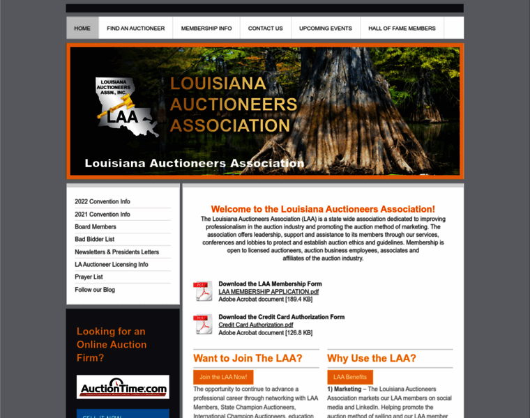 Louisianaauctioneersassociation.com thumbnail