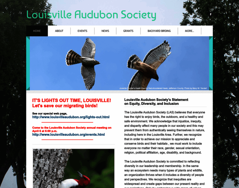 Louisvilleaudubon.org thumbnail