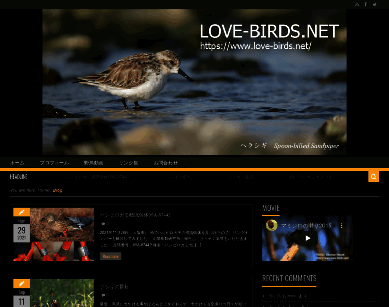 Love-birds.net thumbnail