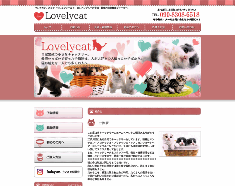 Lovelylovelycat.com thumbnail