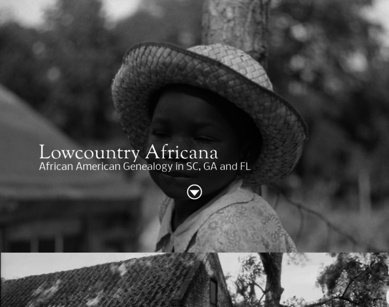 Lowcountryafricana.com thumbnail