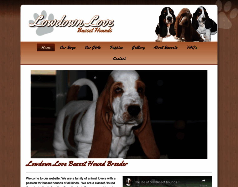 Lowdownlovebassethounds.com thumbnail