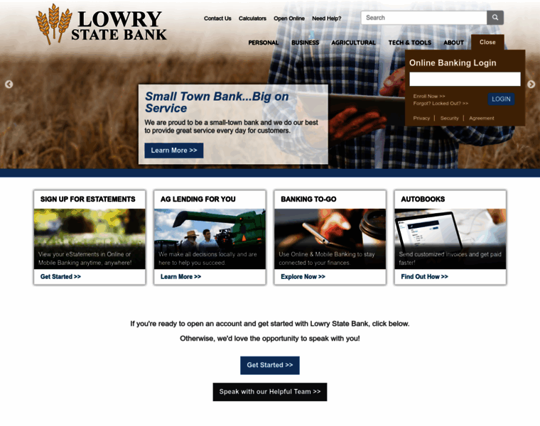 Lowrystate.bank thumbnail