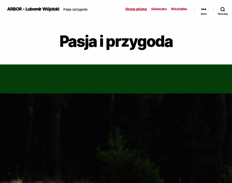Lubomir.pl thumbnail