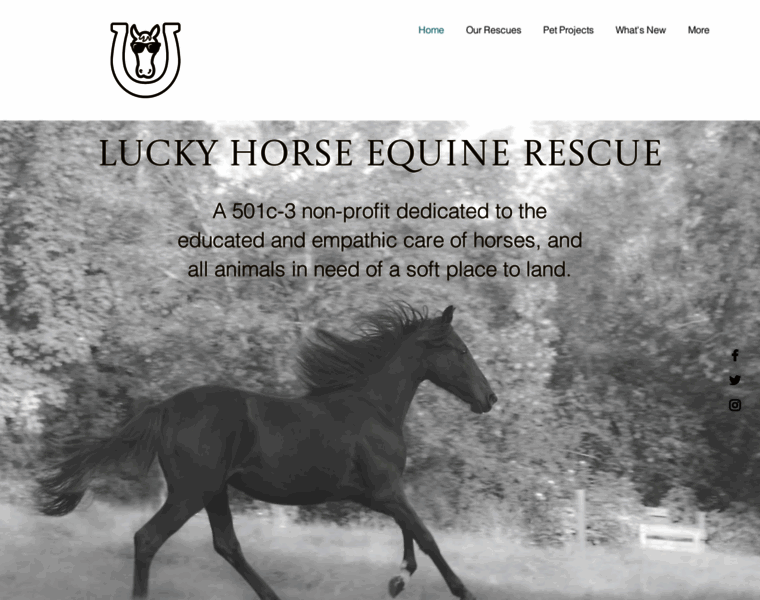 Luckyhorse.org thumbnail