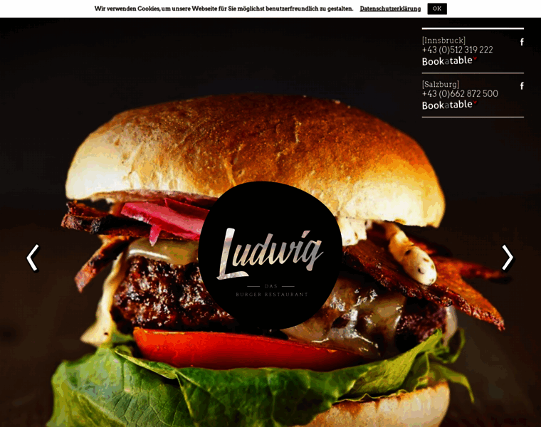 Ludwig-burger.at thumbnail