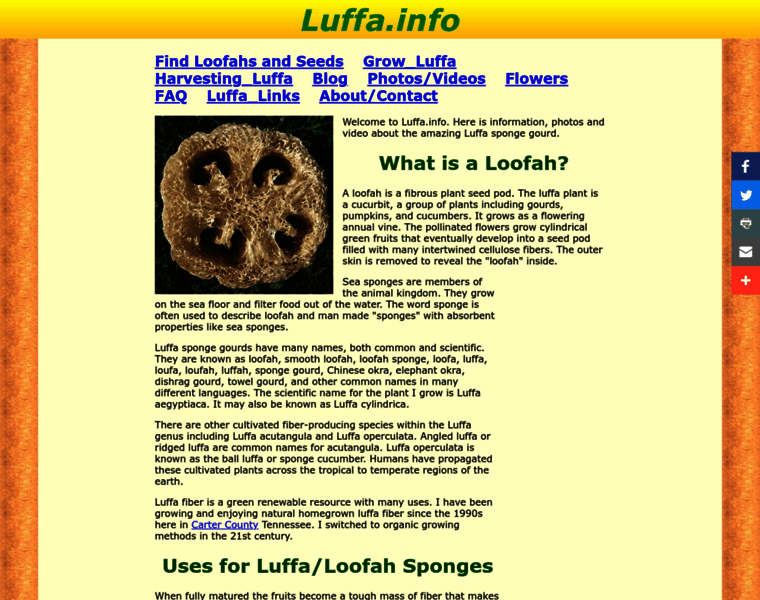 Luffa.info thumbnail