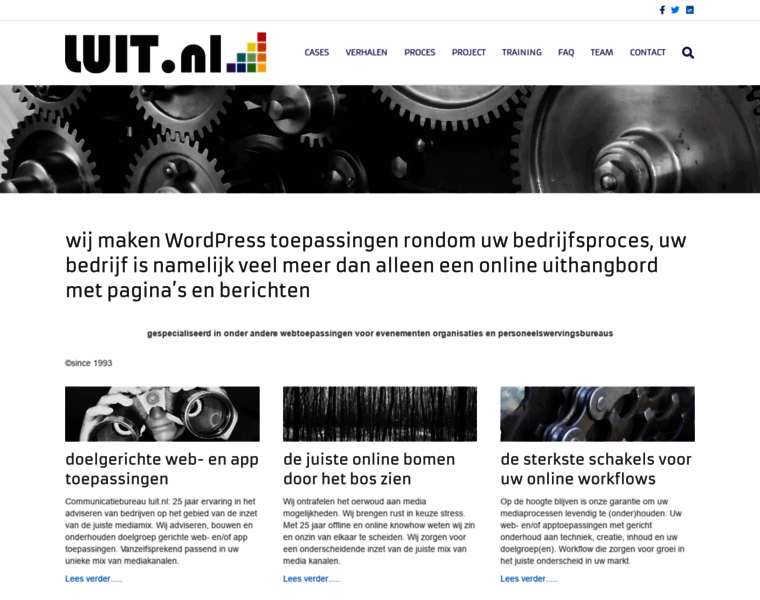 Luit.nl thumbnail