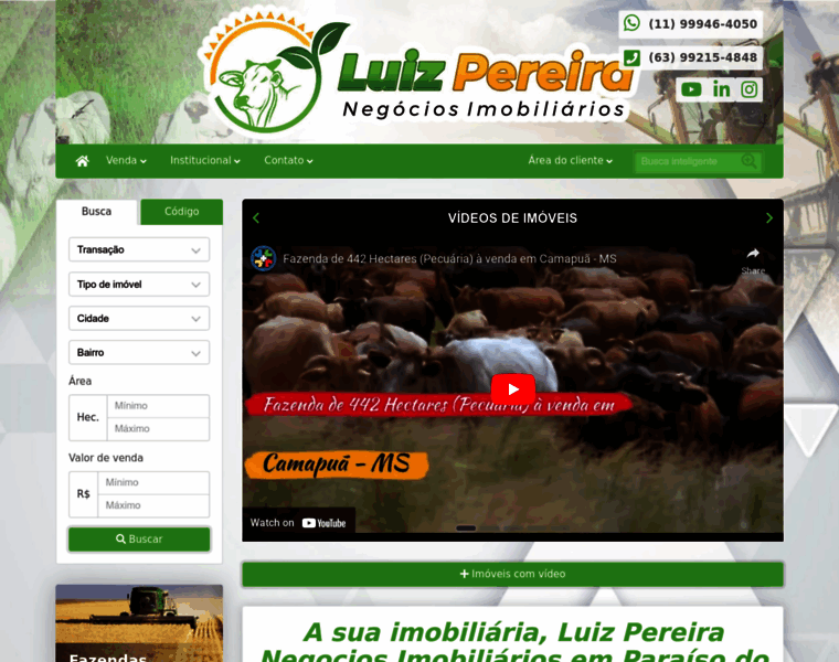 Luizpereira.com.br thumbnail