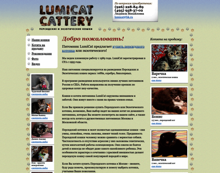 Lumicat.ru thumbnail
