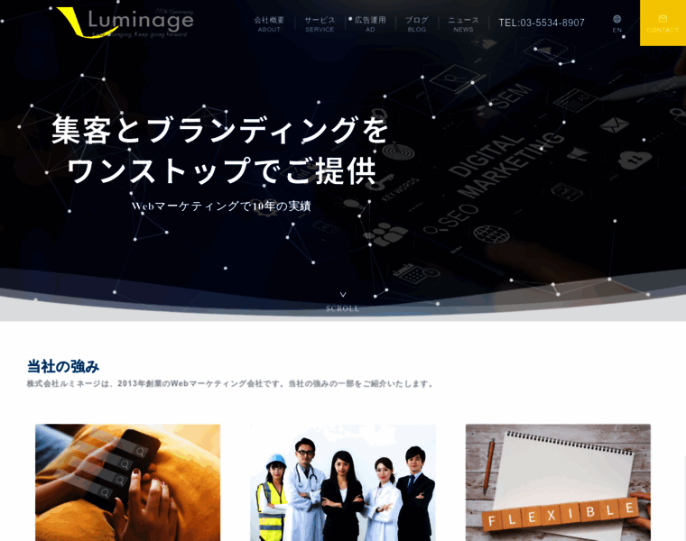 Luminage.co.jp thumbnail