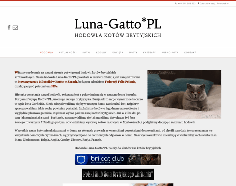 Luna-gatto.pl thumbnail