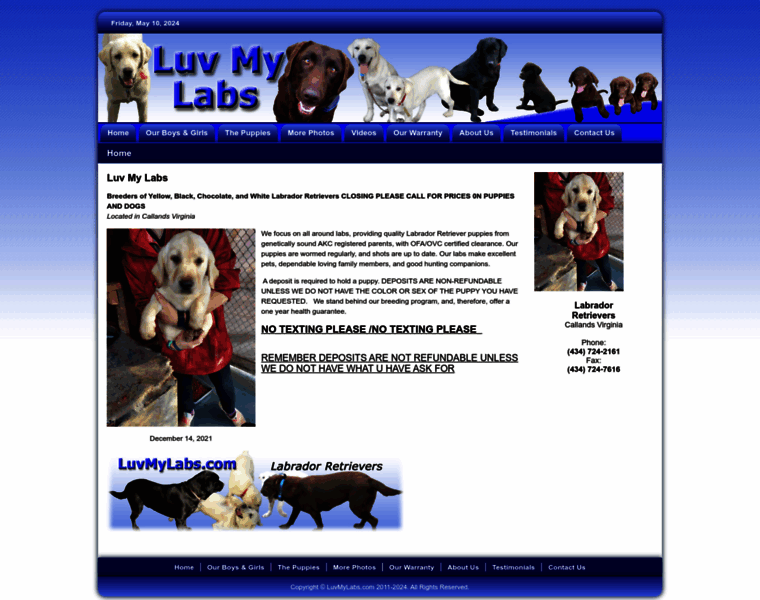 Luvmylabs.com thumbnail