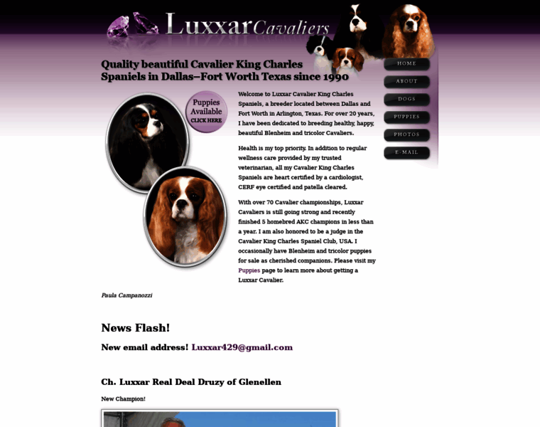 Luxxarcavaliers.com thumbnail
