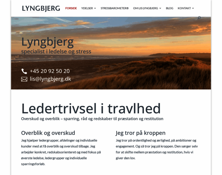 Lyngbjerg.dk thumbnail