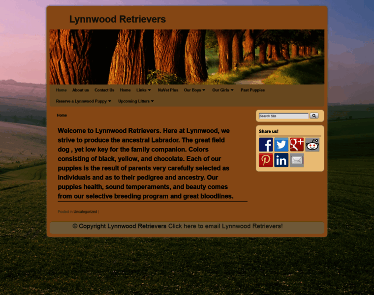 Lynnwoodretrievers.com thumbnail