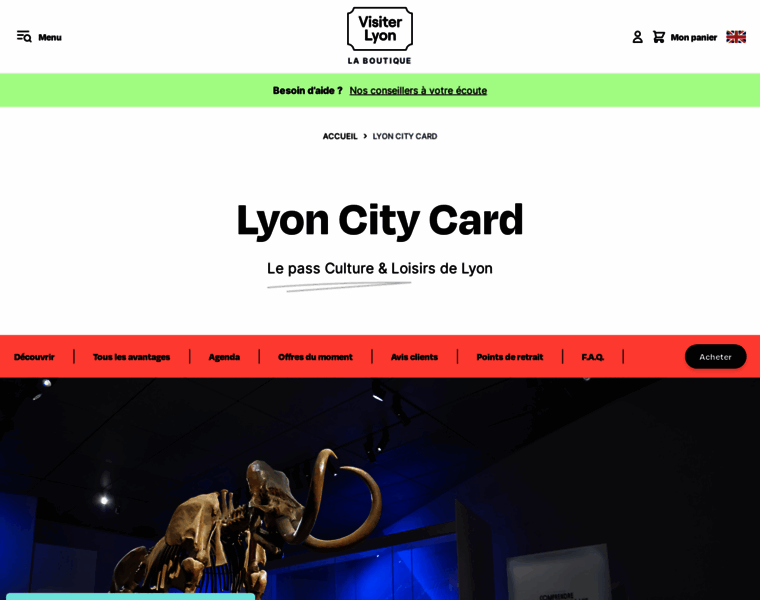Lyoncitycard.com thumbnail