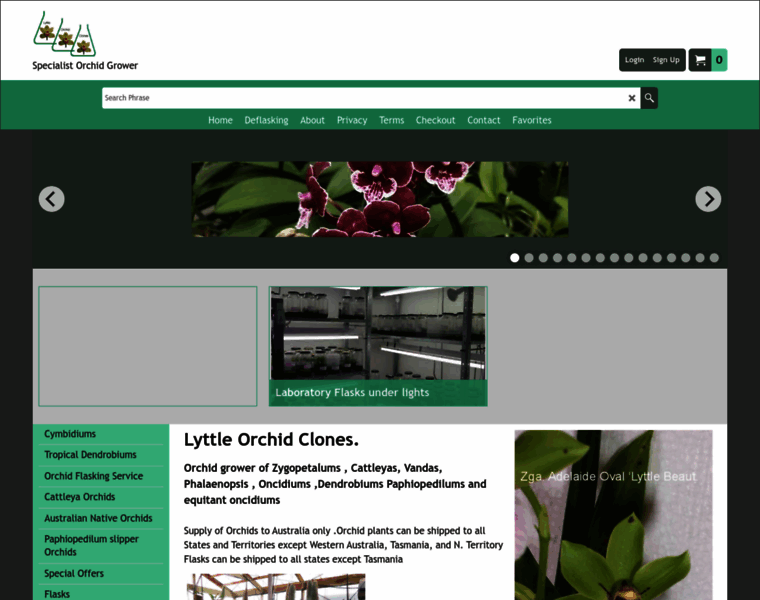 Lyttleorchidclones.com.au thumbnail