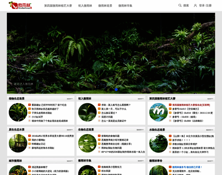 M-rainforest.com thumbnail