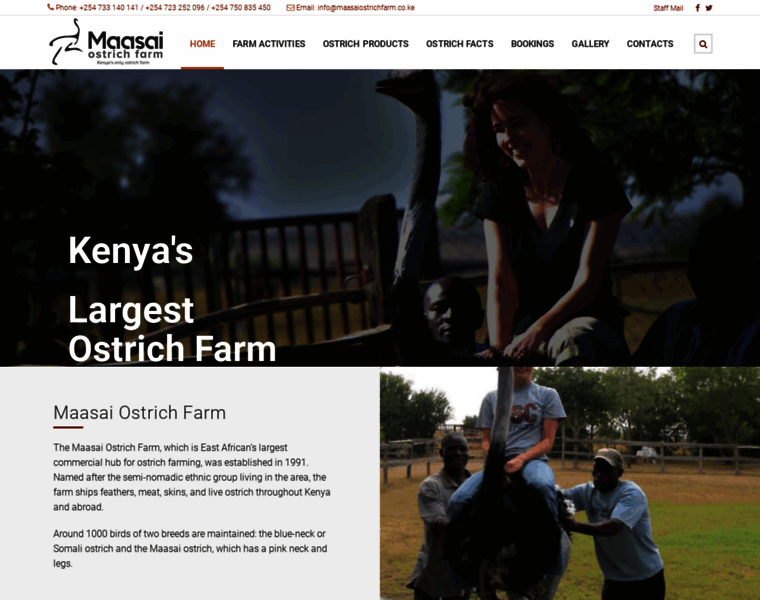 Maasaiostrichfarm.co.ke thumbnail