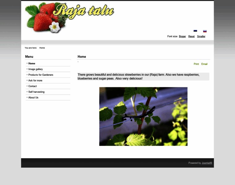 Maasikad.net thumbnail