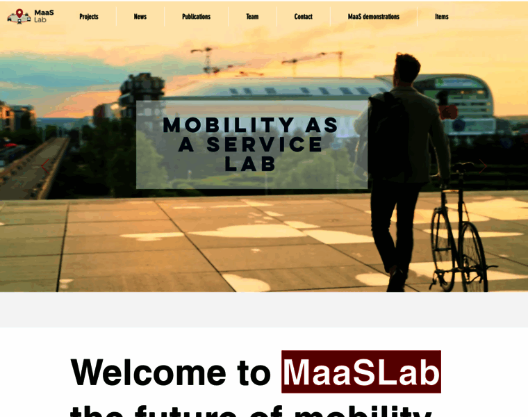 Maaslab.org thumbnail