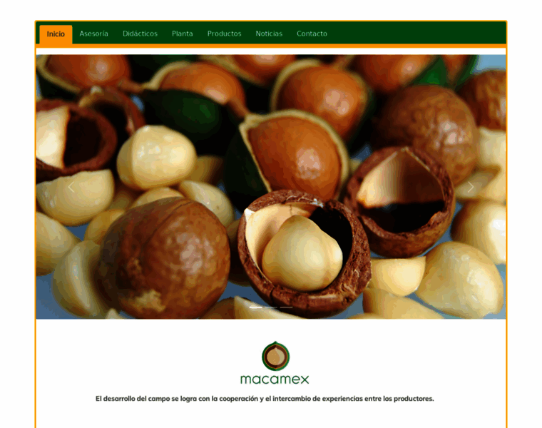 Macadamiamexico.com thumbnail