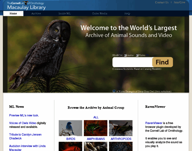 Macaulaylibrary.com thumbnail