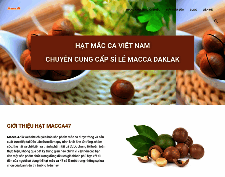 Macca47.com thumbnail