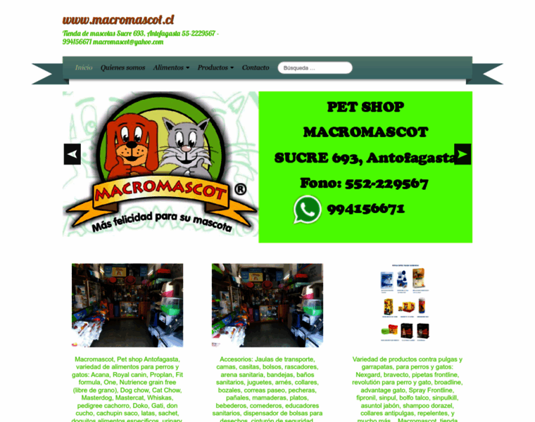 Macromascot.cl thumbnail