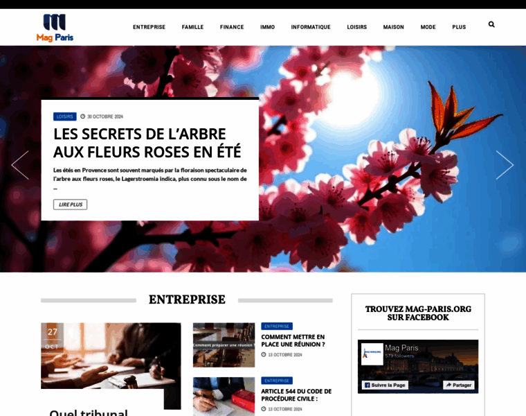 Mag-paris.org thumbnail