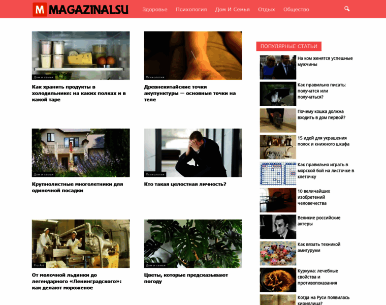 Magazinalsu.ru thumbnail